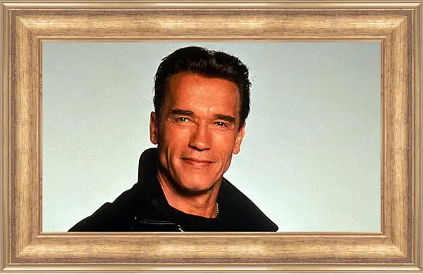 Картина в раме - Арнольд Шварценеггер (Arnold Schwarzenegger) Картина в раме - Арнольд Шварценеггер (Arnold Schwarzenegger)