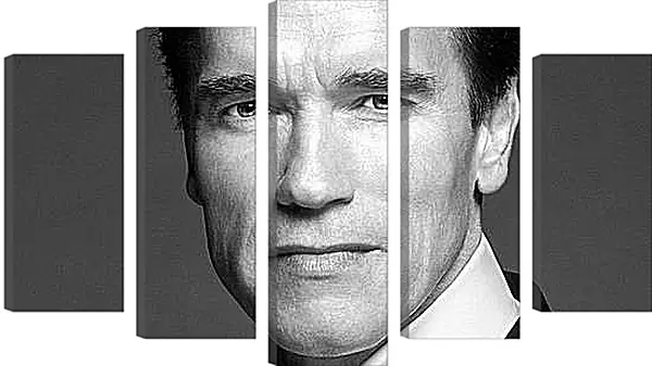 Модульная картина - Арнольд Шварценеггер (Arnold Schwarzenegger) Модульная картина - Арнольд Шварценеггер (Arnold Schwarzenegger)