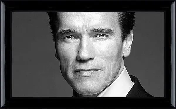 Картина в раме - Арнольд Шварценеггер (Arnold Schwarzenegger) Картина в раме - Арнольд Шварценеггер (Arnold Schwarzenegger)
