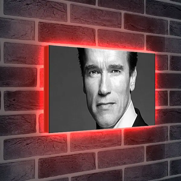 Лайтбокс световая панель - Арнольд Шварценеггер (Arnold Schwarzenegger) Лайтбокс световая панель - Арнольд Шварценеггер (Arnold Schwarzenegger)