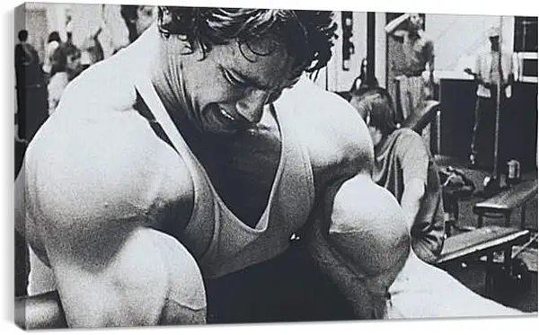Постер на подрамнике - Арнольд Шварценеггер (Arnold Schwarzenegger) Постер на подрамнике - Арнольд Шварценеггер (Arnold Schwarzenegger)