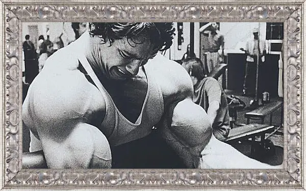 Картина в раме - Арнольд Шварценеггер (Arnold Schwarzenegger) Картина в раме - Арнольд Шварценеггер (Arnold Schwarzenegger)