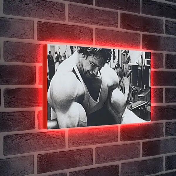Лайтбокс световая панель - Арнольд Шварценеггер (Arnold Schwarzenegger) Лайтбокс световая панель - Арнольд Шварценеггер (Arnold Schwarzenegger)