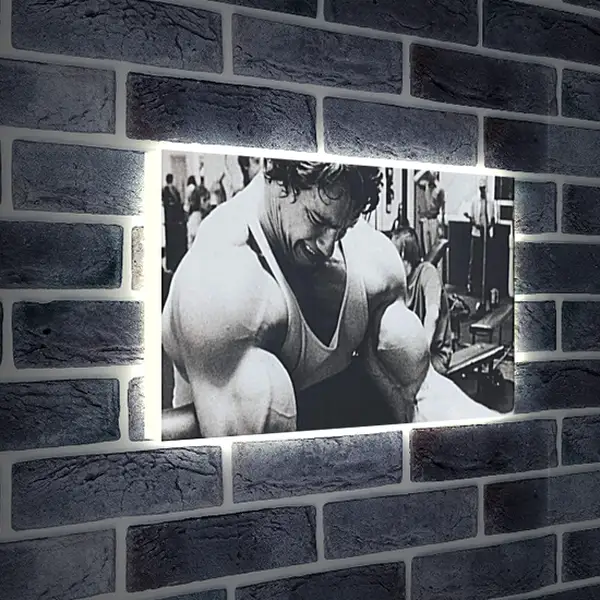 Лайтбокс световая панель - Арнольд Шварценеггер (Arnold Schwarzenegger) Лайтбокс световая панель - Арнольд Шварценеггер (Arnold Schwarzenegger)