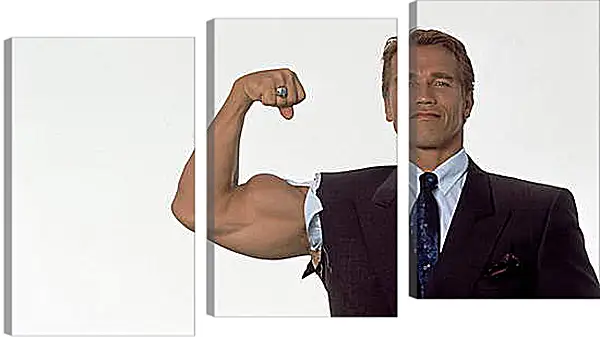 Модульная картина - Арнольд Шварценеггер (Arnold Schwarzenegger) Модульная картина - Арнольд Шварценеггер (Arnold Schwarzenegger)