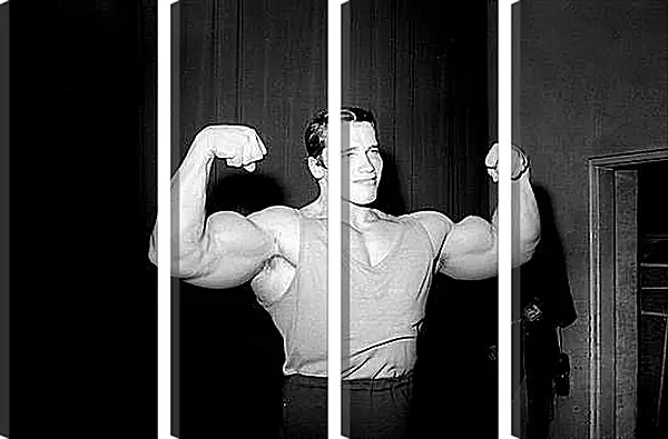 Модульная картина - Арнольд Шварценеггер (Arnold Schwarzenegger) Модульная картина - Арнольд Шварценеггер (Arnold Schwarzenegger)