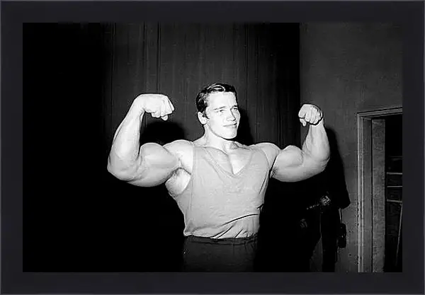 Картина в раме - Арнольд Шварценеггер (Arnold Schwarzenegger) Картина в раме - Арнольд Шварценеггер (Arnold Schwarzenegger)