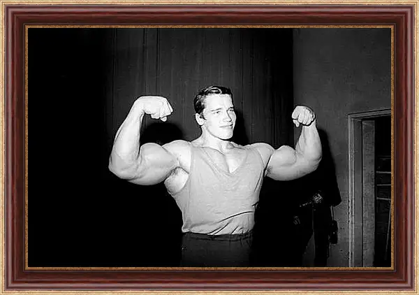 Картина в раме - Арнольд Шварценеггер (Arnold Schwarzenegger) Картина в раме - Арнольд Шварценеггер (Arnold Schwarzenegger)