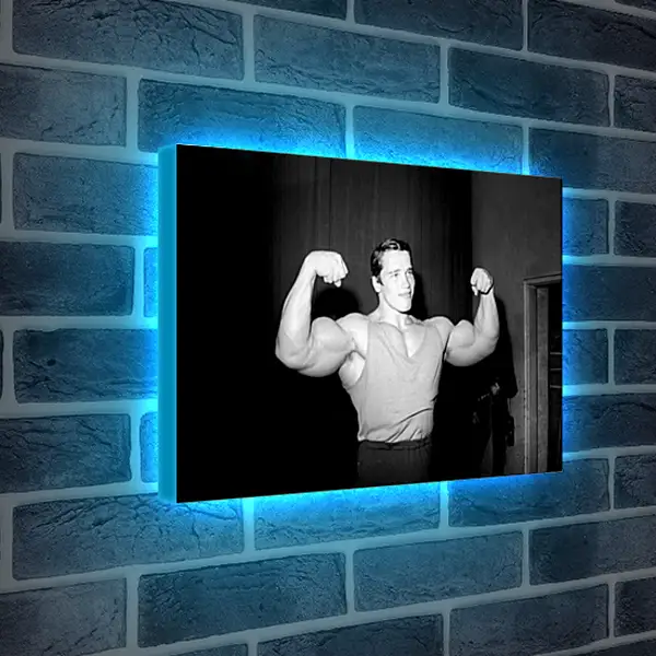 Лайтбокс световая панель - Арнольд Шварценеггер (Arnold Schwarzenegger) Лайтбокс световая панель - Арнольд Шварценеггер (Arnold Schwarzenegger)