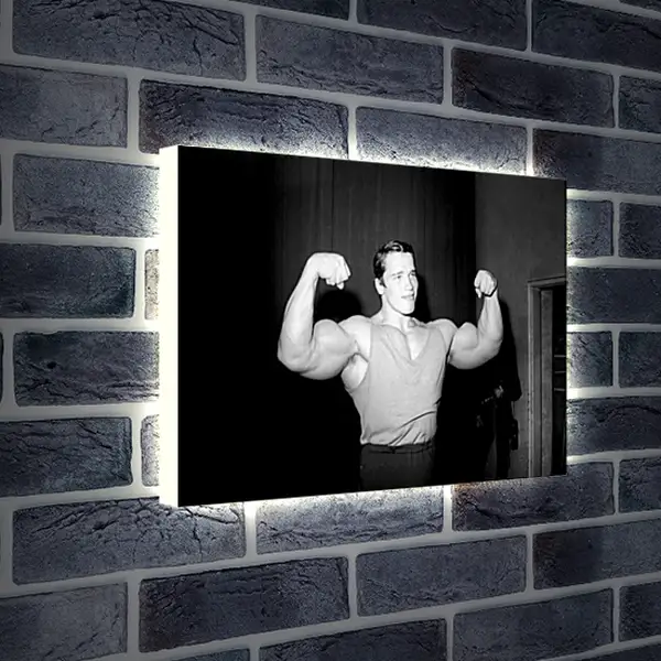 Лайтбокс световая панель - Арнольд Шварценеггер (Arnold Schwarzenegger) Лайтбокс световая панель - Арнольд Шварценеггер (Arnold Schwarzenegger)
