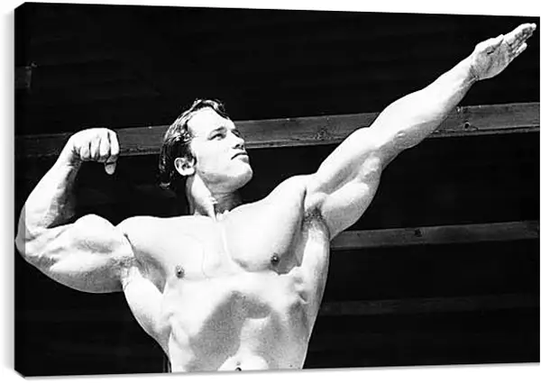 Постер на подрамнике - Арнольд Шварценеггер (Arnold Schwarzenegger) Постер на подрамнике - Арнольд Шварценеггер (Arnold Schwarzenegger)