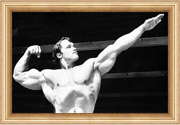 Картина в раме - Арнольд Шварценеггер (Arnold Schwarzenegger) Картина в раме - Арнольд Шварценеггер (Arnold Schwarzenegger)