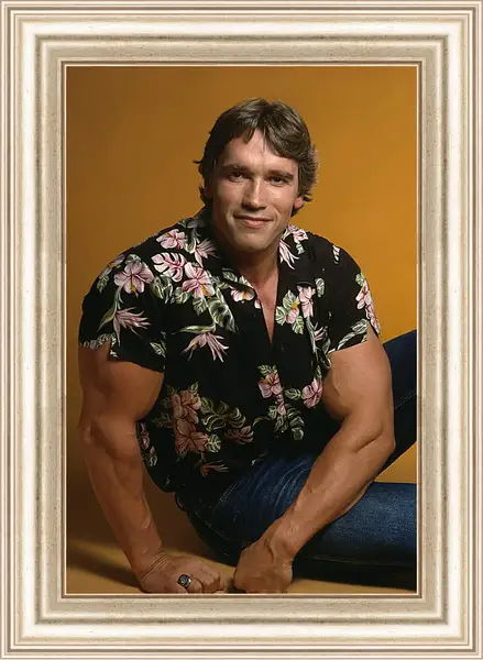 Картина в раме - Арнольд Шварценеггер (Arnold Schwarzenegger) Картина в раме - Арнольд Шварценеггер (Arnold Schwarzenegger)