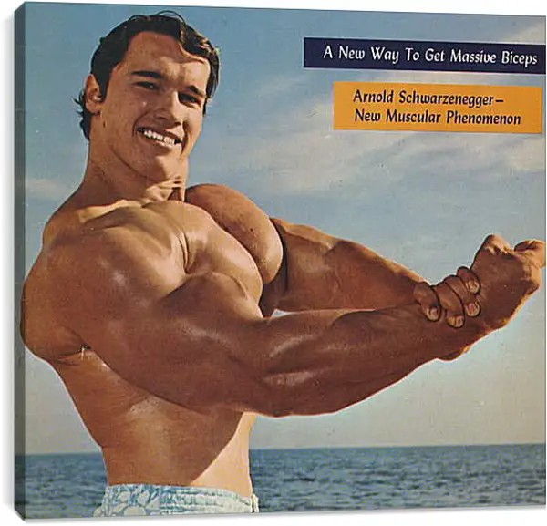 Постер на подрамнике - Арнольд Шварценеггер (Arnold Schwarzenegger) Постер на подрамнике - Арнольд Шварценеггер (Arnold Schwarzenegger)