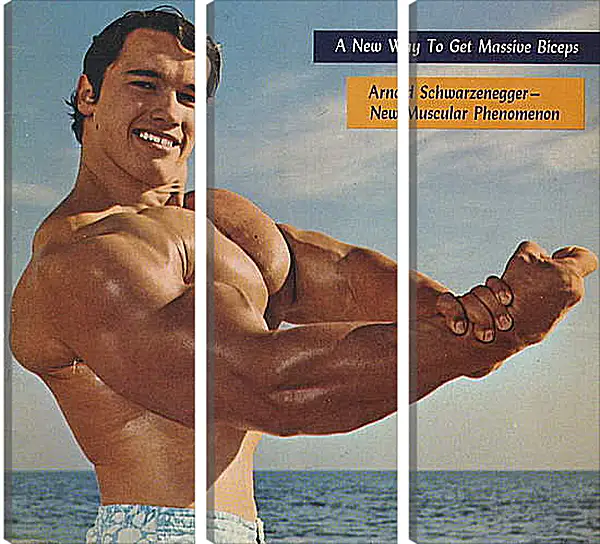 Модульная картина - Арнольд Шварценеггер (Arnold Schwarzenegger) Модульная картина - Арнольд Шварценеггер (Arnold Schwarzenegger)