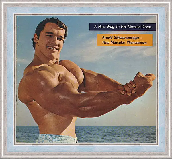 Картина в раме - Арнольд Шварценеггер (Arnold Schwarzenegger) Картина в раме - Арнольд Шварценеггер (Arnold Schwarzenegger)