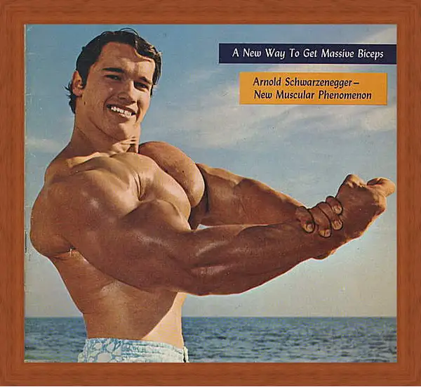 Картина в раме - Арнольд Шварценеггер (Arnold Schwarzenegger) Картина в раме - Арнольд Шварценеггер (Arnold Schwarzenegger)