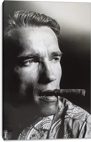 Постер на подрамнике - Арнольд Шварценеггер (Arnold Schwarzenegger) Постер на подрамнике - Арнольд Шварценеггер (Arnold Schwarzenegger)