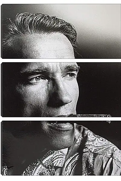 Модульная картина - Арнольд Шварценеггер (Arnold Schwarzenegger) Модульная картина - Арнольд Шварценеггер (Arnold Schwarzenegger)