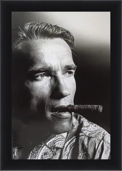 Картина в раме - Арнольд Шварценеггер (Arnold Schwarzenegger) Картина в раме - Арнольд Шварценеггер (Arnold Schwarzenegger)