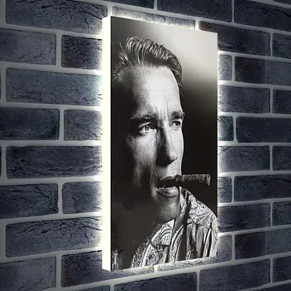 Лайтбокс световая панель - Арнольд Шварценеггер (Arnold Schwarzenegger) Лайтбокс световая панель - Арнольд Шварценеггер (Arnold Schwarzenegger)