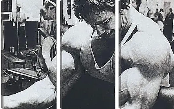 Модульная картина - Арнольд Шварценеггер (Arnold Schwarzenegger) Модульная картина - Арнольд Шварценеггер (Arnold Schwarzenegger)