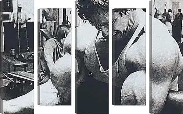 Модульная картина - Арнольд Шварценеггер (Arnold Schwarzenegger) Модульная картина - Арнольд Шварценеггер (Arnold Schwarzenegger)