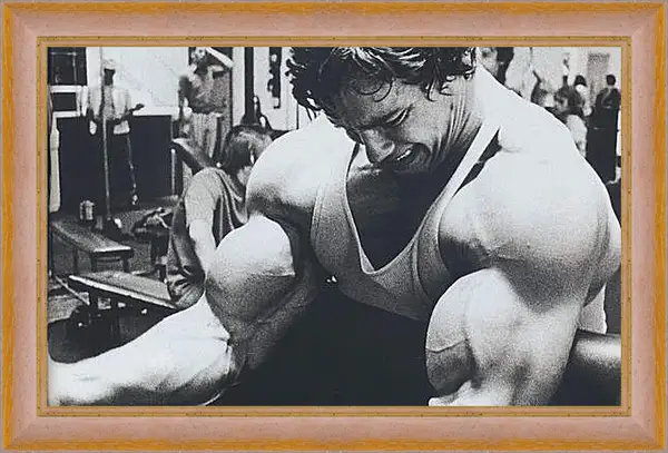 Картина в раме - Арнольд Шварценеггер (Arnold Schwarzenegger) Картина в раме - Арнольд Шварценеггер (Arnold Schwarzenegger)