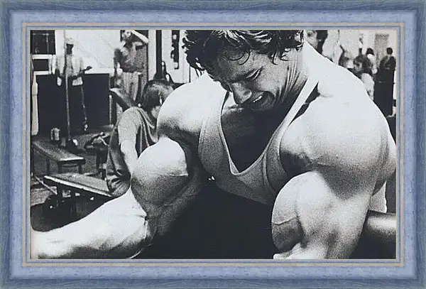 Картина в раме - Арнольд Шварценеггер (Arnold Schwarzenegger) Картина в раме - Арнольд Шварценеггер (Arnold Schwarzenegger)