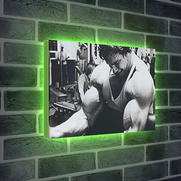 Лайтбокс световая панель - Арнольд Шварценеггер (Arnold Schwarzenegger) Лайтбокс световая панель - Арнольд Шварценеггер (Arnold Schwarzenegger)