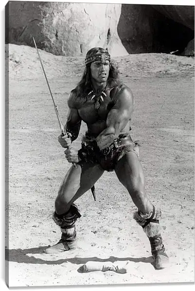 Постер на подрамнике - Арнольд Шварценеггер (Arnold Schwarzenegger) Постер на подрамнике - Арнольд Шварценеггер (Arnold Schwarzenegger)