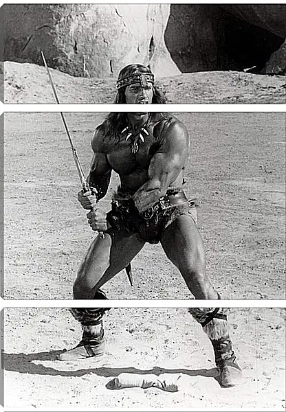 Модульная картина - Арнольд Шварценеггер (Arnold Schwarzenegger) Модульная картина - Арнольд Шварценеггер (Arnold Schwarzenegger)