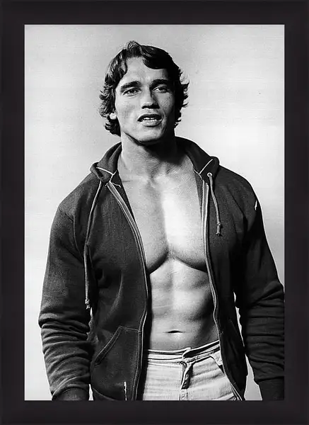 Картина в раме - Арнольд Шварценеггер (Arnold Schwarzenegger) Картина в раме - Арнольд Шварценеггер (Arnold Schwarzenegger)