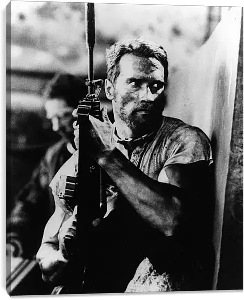 Постер на подрамнике - Арнольд Шварценеггер (Arnold Schwarzenegger) Постер на подрамнике - Арнольд Шварценеггер (Arnold Schwarzenegger)