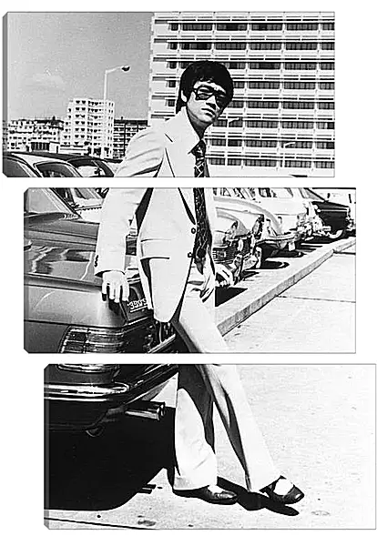 Модульная картина - Брюс Ли (Bruce Lee) Модульная картина - Брюс Ли (Bruce Lee)