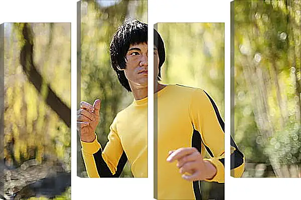 Модульная картина - Брюс Ли (Bruce Lee) Модульная картина - Брюс Ли (Bruce Lee)