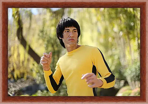 Картина в раме - Брюс Ли (Bruce Lee) Картина в раме - Брюс Ли (Bruce Lee)