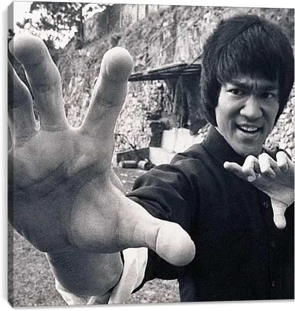 Постер на подрамнике - Брюс Ли (Bruce Lee) Постер на подрамнике - Брюс Ли (Bruce Lee)