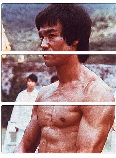 Модульная картина - Брюс Ли (Bruce Lee) Модульная картина - Брюс Ли (Bruce Lee)
