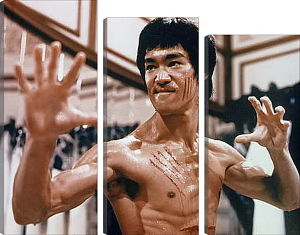 Модульная картина - Брюс Ли (Bruce Lee) Модульная картина - Брюс Ли (Bruce Lee)