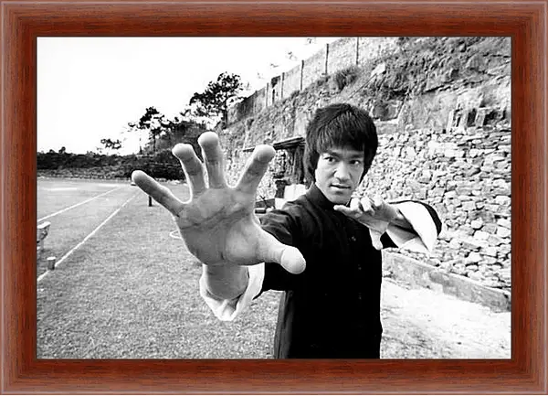 Картина в раме - Брюс Ли (Bruce Lee) Картина в раме - Брюс Ли (Bruce Lee)
