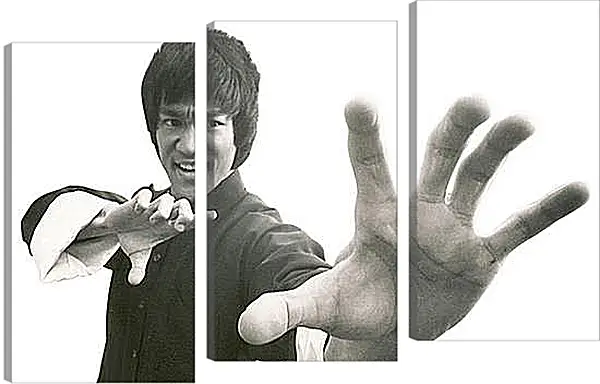 Модульная картина - Брюс Ли (Bruce Lee) Модульная картина - Брюс Ли (Bruce Lee)