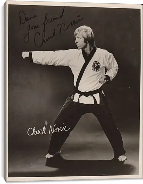 Постер на подрамнике - Чак Норрис. Chuck Norris Постер на подрамнике - Чак Норрис. Chuck Norris