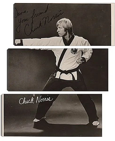 Модульная картина - Чак Норрис. Chuck Norris Модульная картина - Чак Норрис. Chuck Norris