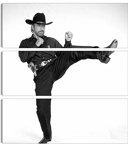 Модульная картина - Чак Норрис. Chuck Norris Модульная картина - Чак Норрис. Chuck Norris