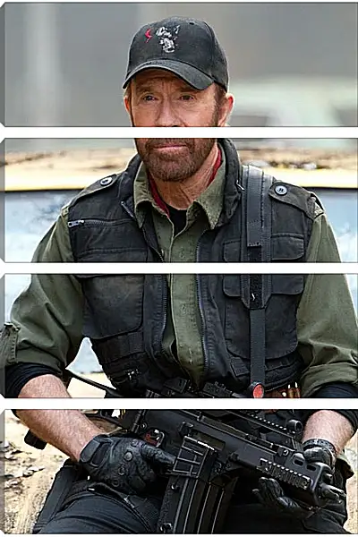 Модульная картина - Чак Норрис. Chuck Norris Модульная картина - Чак Норрис. Chuck Norris