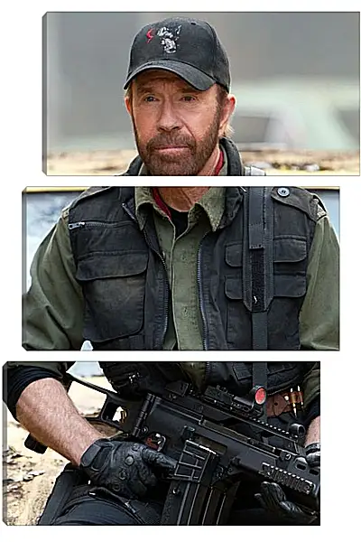 Модульная картина - Чак Норрис. Chuck Norris Модульная картина - Чак Норрис. Chuck Norris