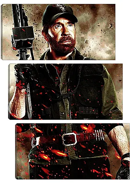 Модульная картина - Чак Норрис. Chuck Norris Модульная картина - Чак Норрис. Chuck Norris