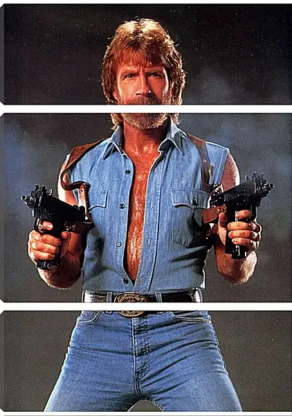 Модульная картина - Чак Норрис. Chuck Norris Модульная картина - Чак Норрис. Chuck Norris
