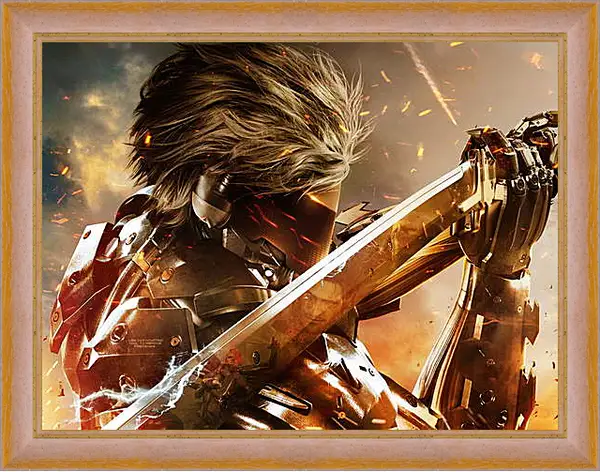 Картина в раме - Metal Gear Rising: Revengeance
Картина в раме - Metal Gear Rising: Revengeance